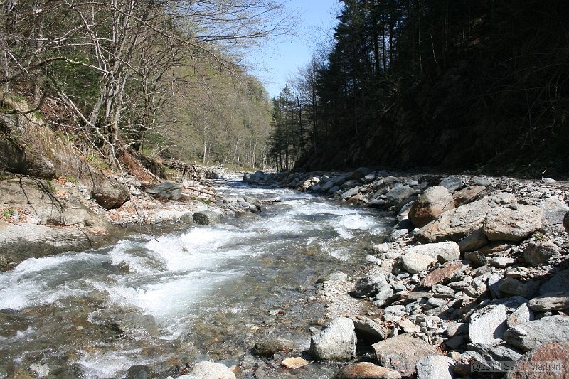 IMG_7682.JPG