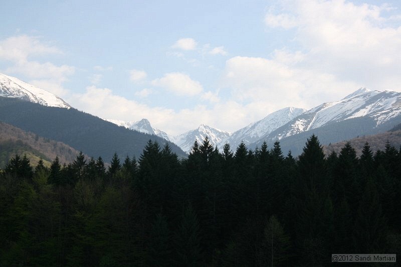 IMG_7694.JPG