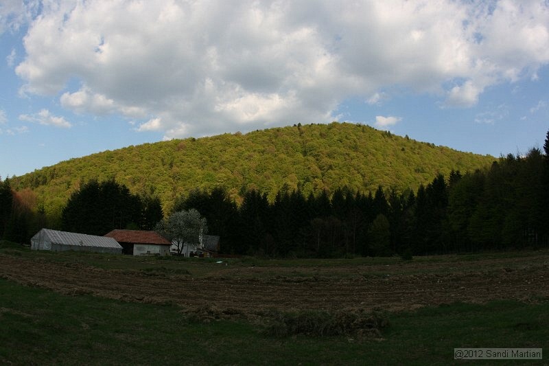 IMG_7710.JPG