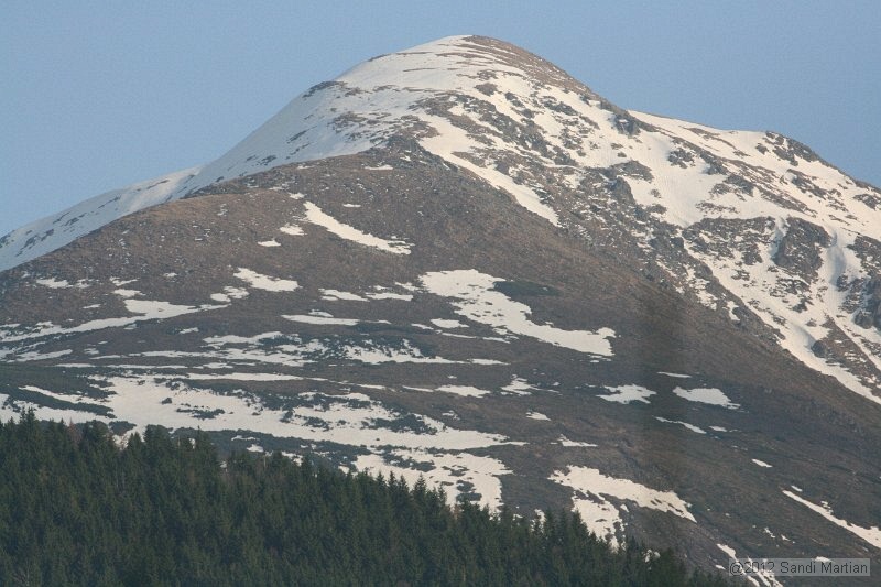 IMG_7733.JPG