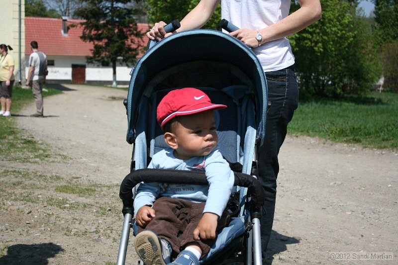 IMG_7771.JPG