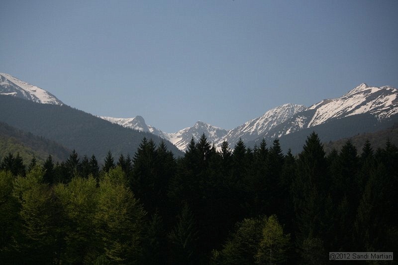 IMG_7778.JPG