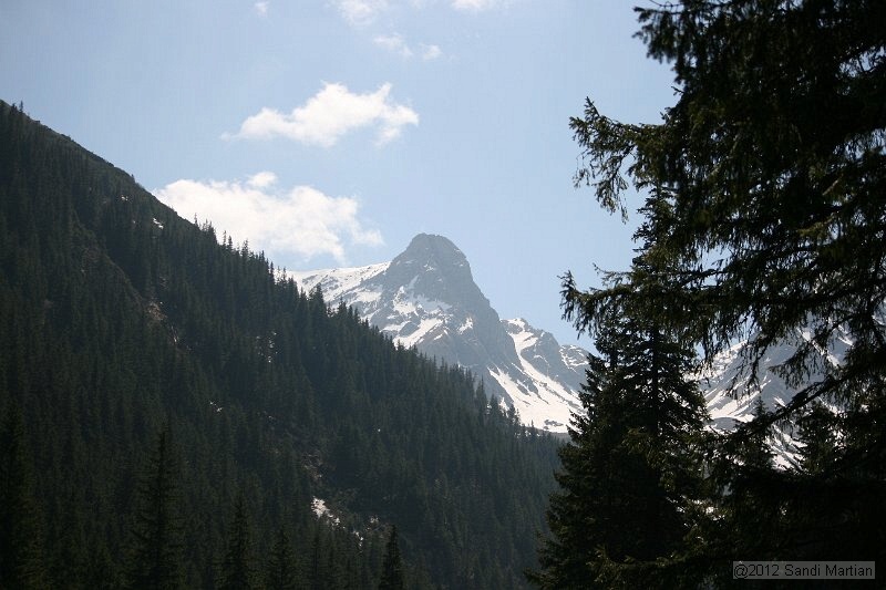 IMG_7804.JPG