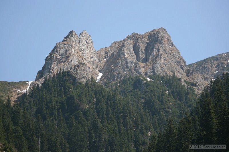 IMG_7805.JPG