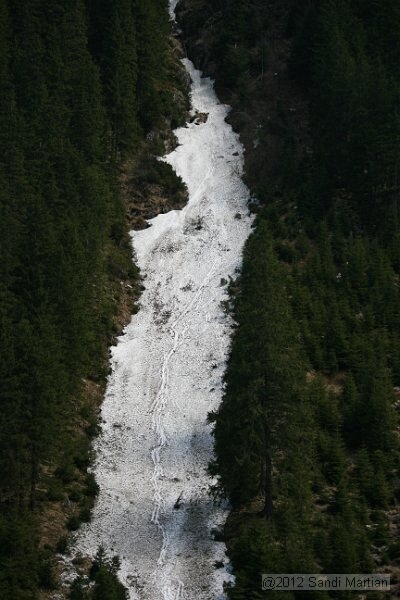 IMG_7834.JPG