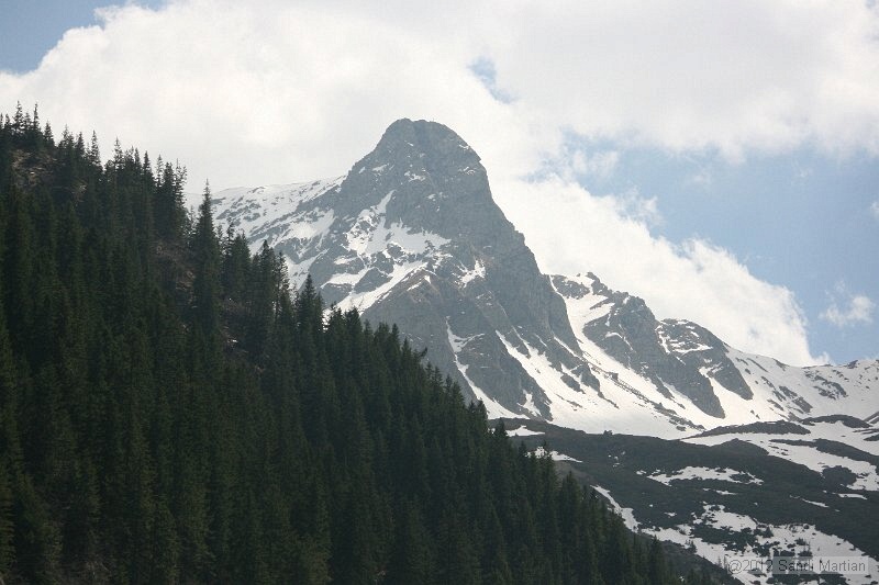 IMG_7850.JPG