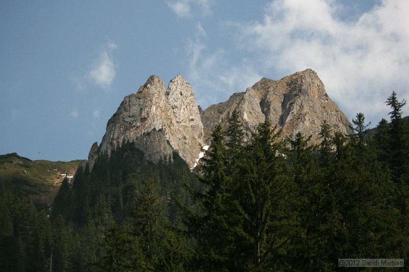 IMG_7853.JPG