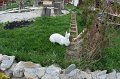 IMG_7702