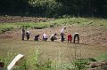 IMG_7775