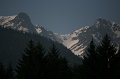 IMG_7779