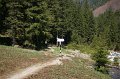 IMG_7806