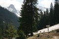 IMG_7855