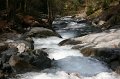 IMG_7858