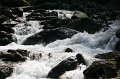 IMG_7859