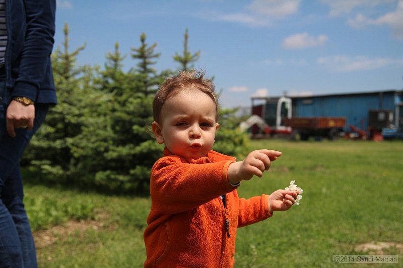 IMG_7787.JPG