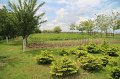 IMG_7833