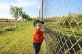 IMG_8071