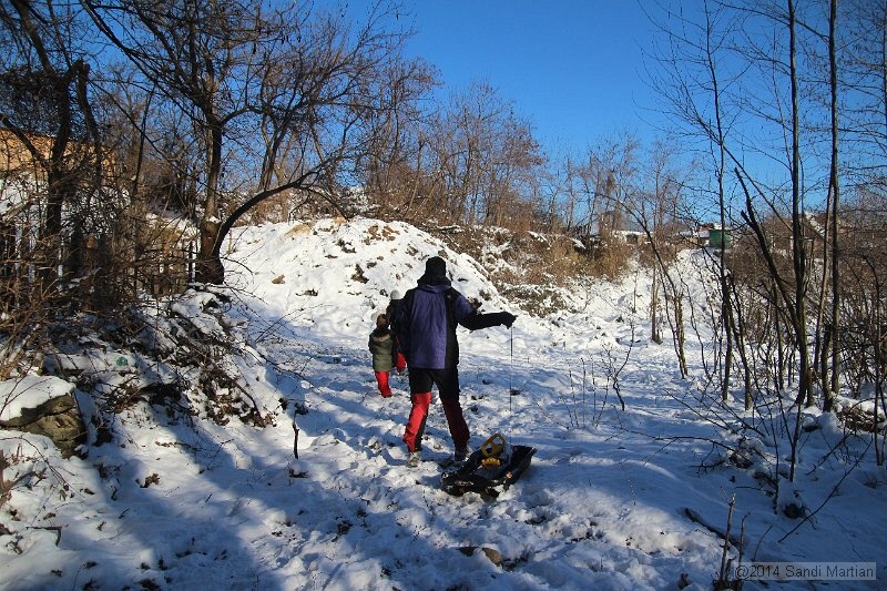 IMG_0153.JPG