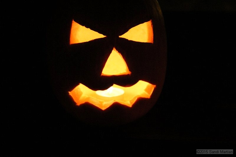 IMG_4083.JPG