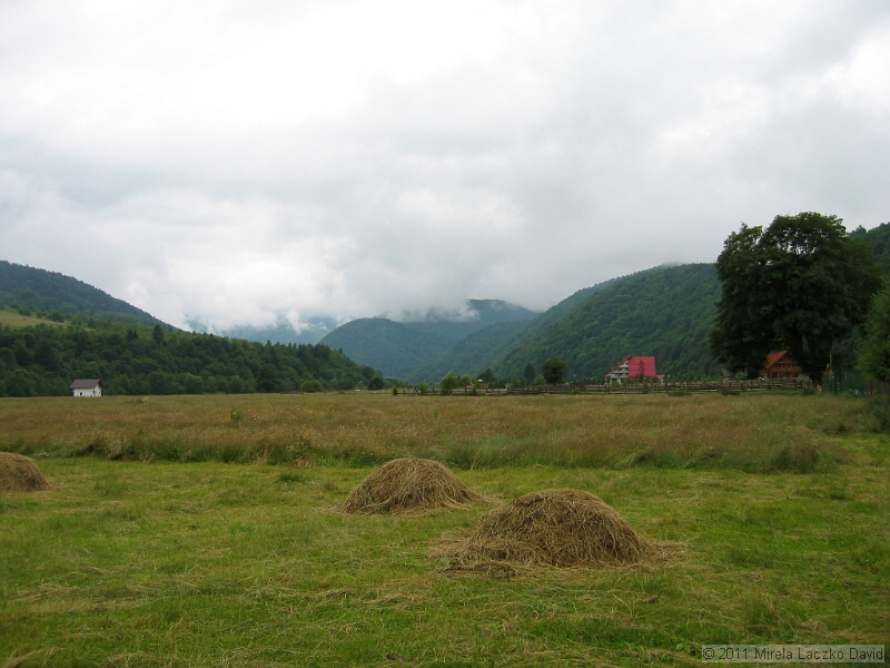 IMG_7268.JPG