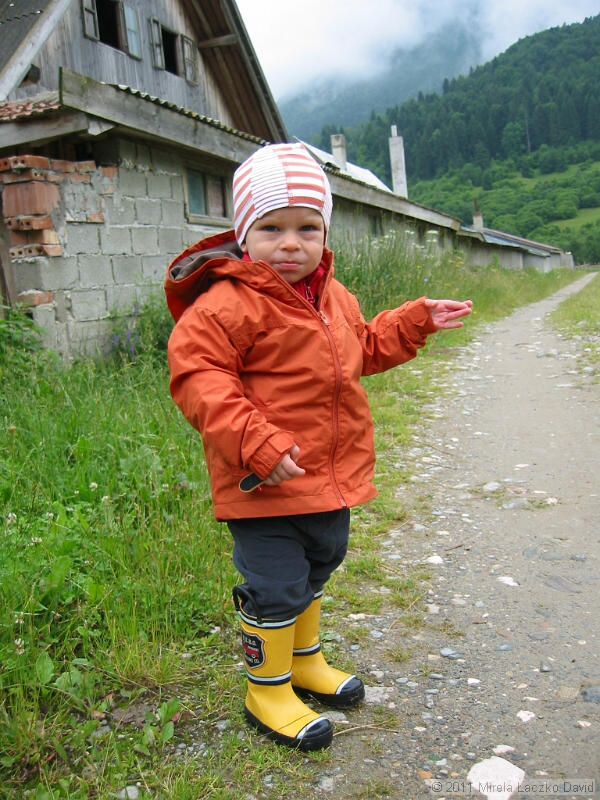 IMG_7270.JPG