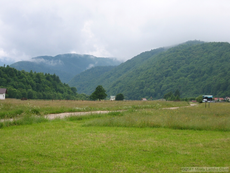IMG_7272.JPG