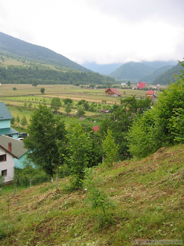 IMG_7276.JPG