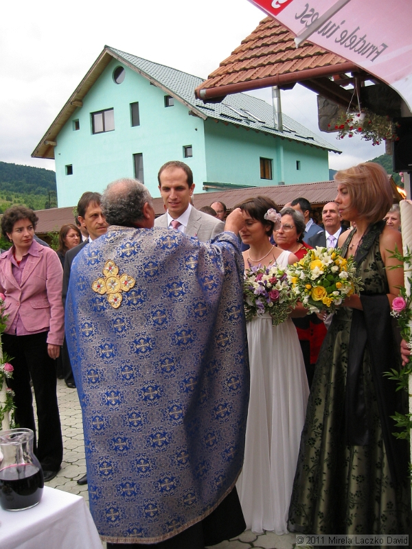 IMG_7329.JPG