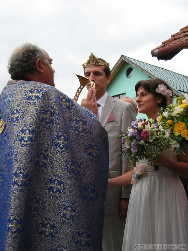 IMG_7350.JPG