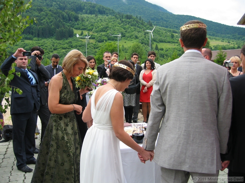 IMG_7381.JPG