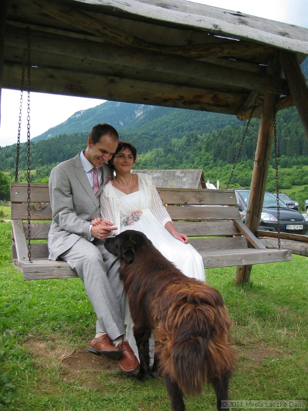 IMG_7485.JPG