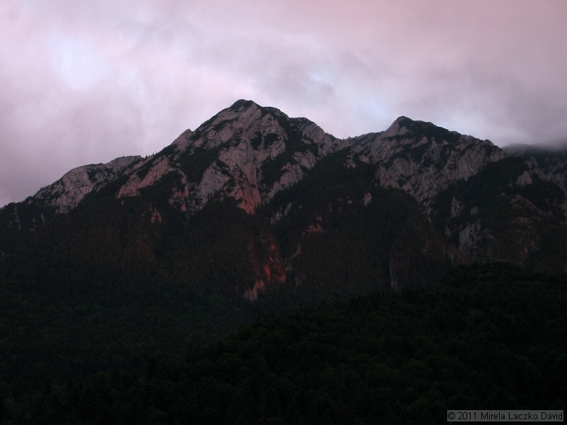 IMG_7539.JPG