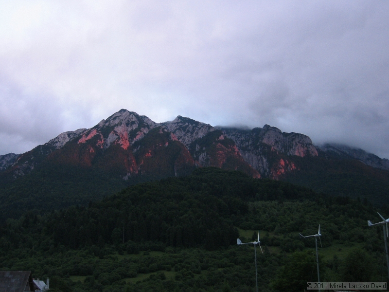 IMG_7543.JPG