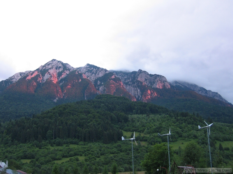 IMG_7544.JPG