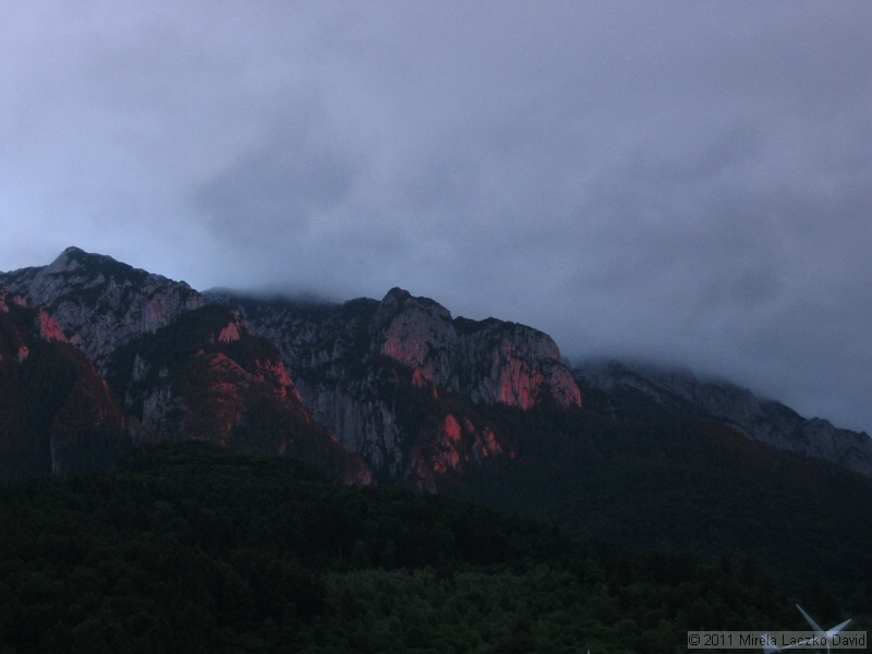 IMG_7548.JPG