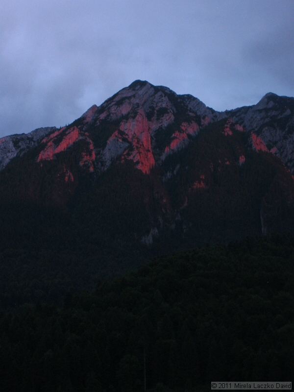 IMG_7550.JPG