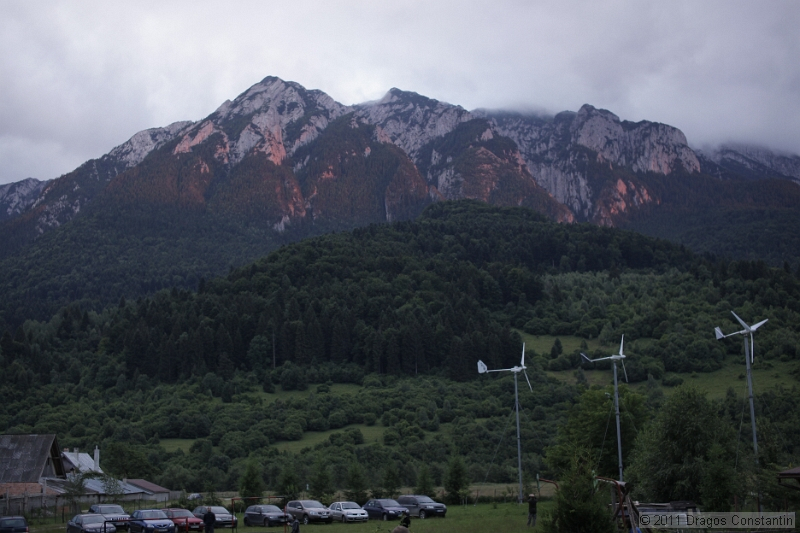 _MG_0636.JPG