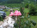 IMG_7515