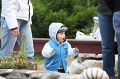 IMG_8884