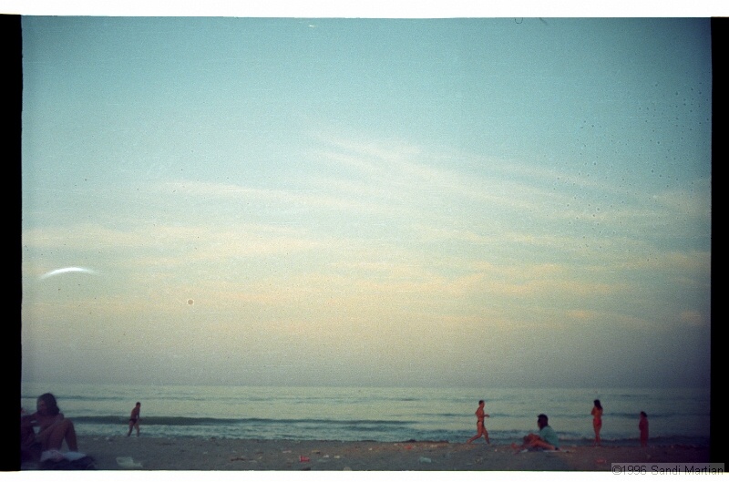 IMG3103.jpg