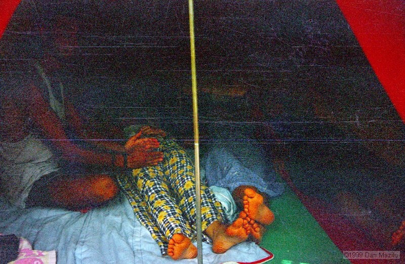 IMG1686.jpg