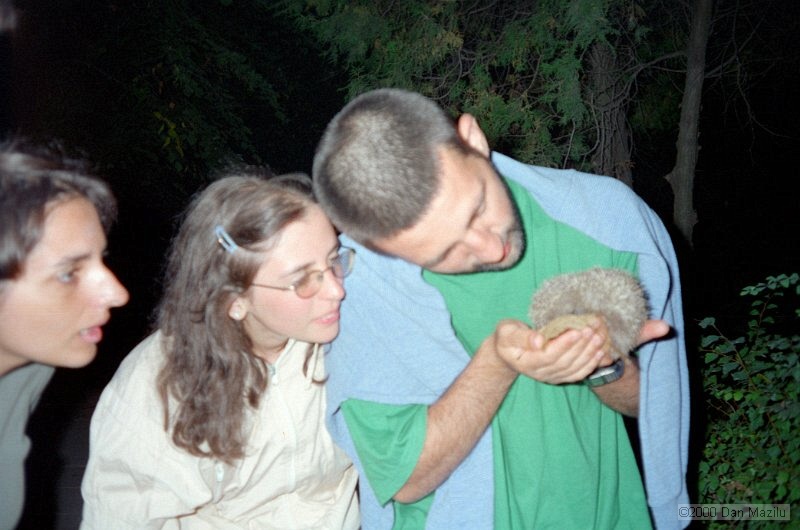 IMG1512.jpg