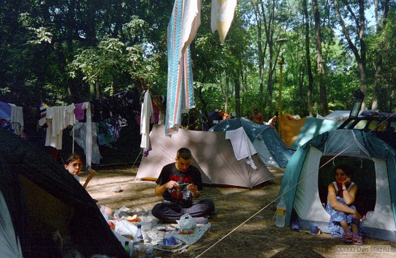 IMG1513.jpg
