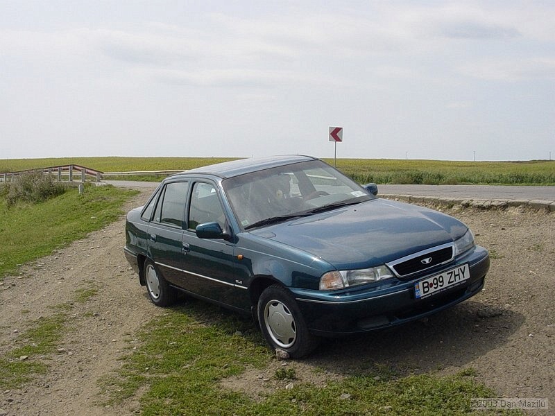 mare2003_003.JPG