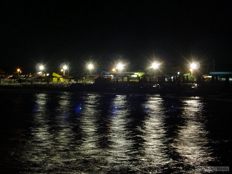 mare2003_010.JPG