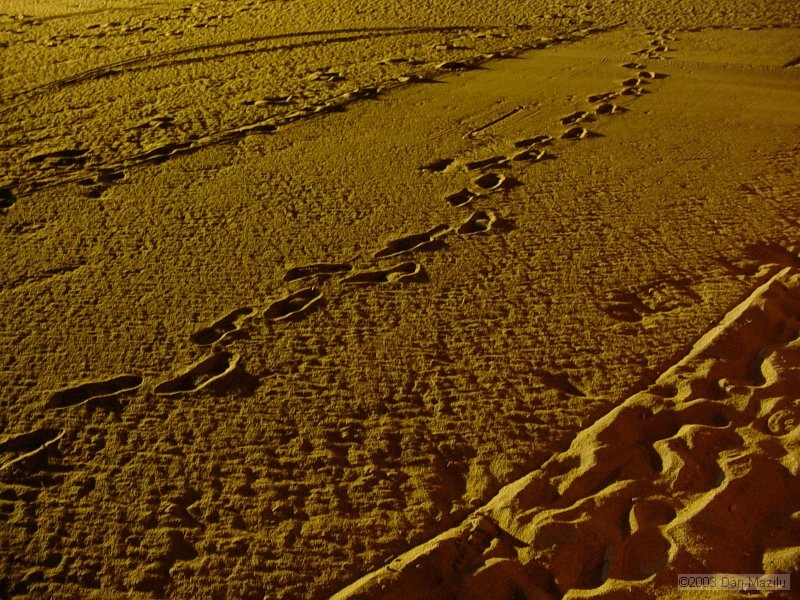 mare2003_013.JPG