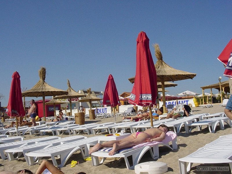 mare2003_019.JPG
