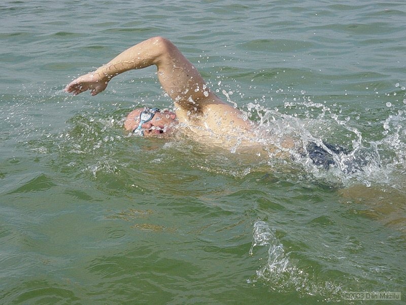 mare2003_126.JPG