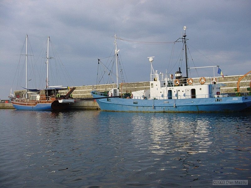 mare2003_135.JPG