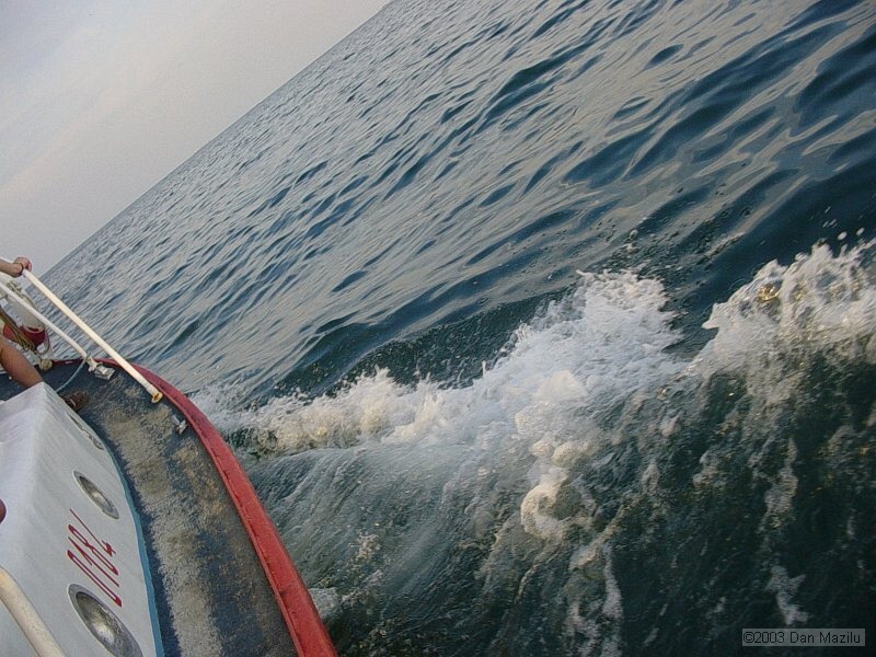 mare2003_138.JPG